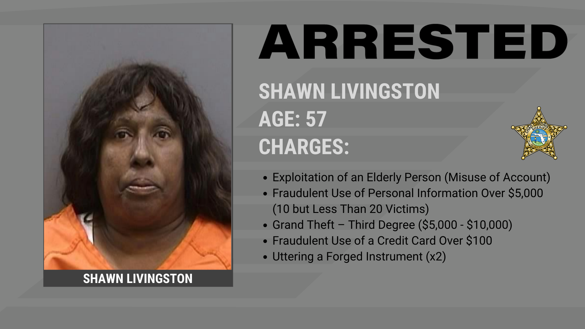 Woman Arrested for Exploitation of an Elderly Person